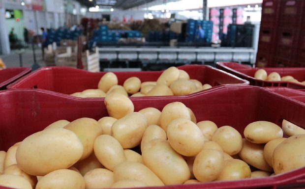 FLORIANÓPOLIS ESTÁ ENTRE AS CAPITAIS COM MAIOR ÍNDICE DE AUMENTOS DA CESTA BÁSICA
