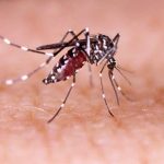 DENGUE: IRRESPONSABILIDADE DE MORADORES DE SÃO JOSÉ PROÍBE INSPEÇÕES SANITÁRIAS EM SEUS IMÓVEIS