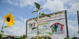 RETORNO ACOLHEDOR: AULAS RECOMEÇAM NA SEGUNDA FEIRA EM BLUMENAU