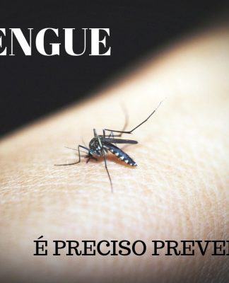 INFESTAÇÃO DA DENGUE: FLORIANÓPOLIS AMPLIA ESCALA DE FUNCIONAMENTO DE CENTROS DE SAÚDE