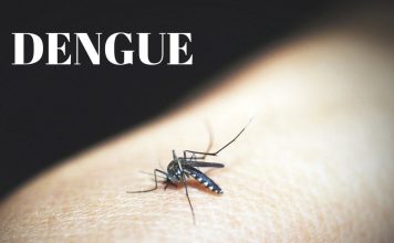 INFESTAÇÃO DA DENGUE: FLORIANÓPOLIS AMPLIA ESCALA DE FUNCIONAMENTO DE CENTROS DE SAÚDE