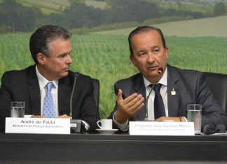 SC PEDE EM BRASÍLIA REVOGAÇÃO DA PORTARIA FEDERAL QUE LIMITA CAPTURA DA TAINHA NA SAFRA DESTE ANO