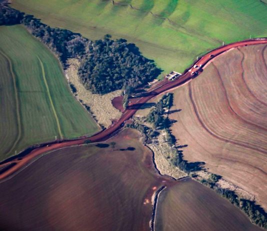VERSÃO 2021/2022: EPAGRI LANÇA BALANÇO DA AGROPECUÁRIA DE SANTA CATARINA