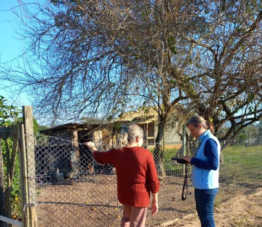 SC: AÇÕES SANITÁRIAS DA CIDASC ELIMINAM FOCO DE GRIPE AVIÁRIA NA REGIÃO SUL