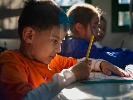 MAIS DE 520 MIL ALUNOS DA REDE ESTADUAL RETORNAM ÀS AULAS AMANHÃ