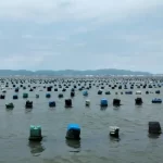 SÃO JOSÉ VAI REUNIR PESCADORES PARA TRATAR DE OCUPAÇÃO DE LOTES MARINHOS