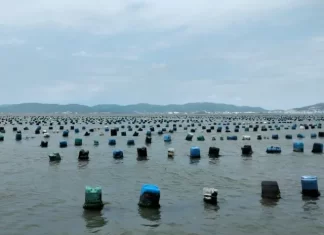 SÃO JOSÉ VAI REUNIR PESCADORES PARA TRATAR DE OCUPAÇÃO DE LOTES MARINHOS