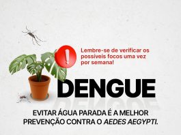 FINADOS: VIGILÂNCIA EPIDEMIOLÓGICA DE SC ALERTA SOBRE PROLIFERAÇÃO DA DENGUE