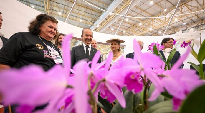 PATRIMÔNIO CULTURAL E IMATERIAL DE SC: JOINVILLE INAUGURA A FESTA DAS FLORES
