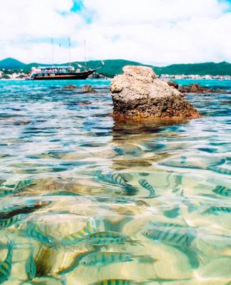 TEMPORADA DE VERÃO 2023/2024: PESQUISA APONTA QUE MAIS DE 880 MIL TURISTAS ESTARÃO EM SANTA CATARINA
