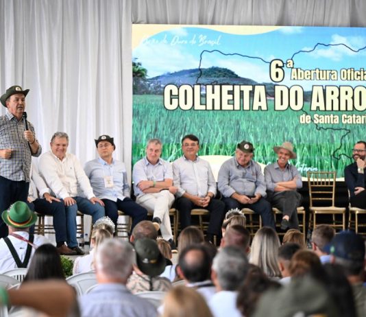 SAFRA EM MASSARANDUBA: SANTA CATARINA É O SEGUNDO PRODUTOR NACIONAL DE ARROZ