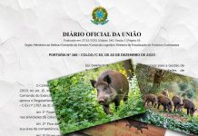 GOVERNO FEDERAL OFICIALIZA LEI DE SANTA CATARINA DE CONTROLE POPULACIONAL DO JAVALI