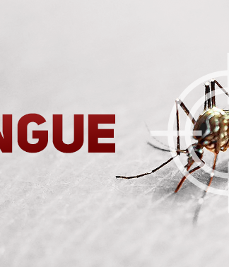 MINISTÉRIO DA SAÚDE ISOLA SANTA CATARINA DA VACINAÇÃO CONTRA A DENGUE