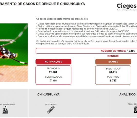 SANTA CATARINA LANÇA PAINEL DE CONTROLE SOBRE DENGUE E CHIKUNGUNYA