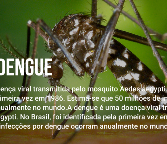 FLORIANÓPOLIS REALIZA AMANHÃ O “DIA D” DE COMBATE E PREVENÇÃO À DENGUE