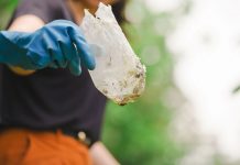 SÁBADO DE MOBILIZAÇÃO ESTADUAL COMO PREVENÇÃO E COMBATE À DENGUE