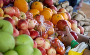 SUBSISTÊNCIA E QUALIDADE ALIMENTAR: SANTA CATARINA LIDERA O RANKING NACIONAL
