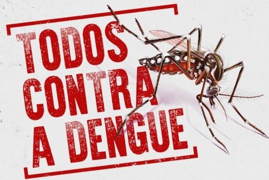 INFORME DA DENGUE EM SANTA CATARINA: MAIS DE 109 MIL CASOS E 51 MORTES