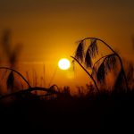 OUTONO: CALOR E TEMPO SECO CONTINUAM NESTA SEMANA EM SANTA CATARINA