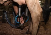 ALESC: GOVERNO DO ESTADO CONCEDE NOVOS BENEFÍCIOS FISCAIS AO SETOR PRODUTIVO CATARINENSE