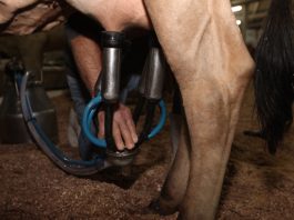 ALESC: GOVERNO DO ESTADO CONCEDE NOVOS BENEFÍCIOS FISCAIS AO SETOR PRODUTIVO CATARINENSE