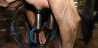 ALESC: GOVERNO DO ESTADO CONCEDE NOVOS BENEFÍCIOS FISCAIS AO SETOR PRODUTIVO CATARINENSE