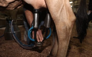 ALESC: GOVERNO DO ESTADO CONCEDE NOVOS BENEFÍCIOS FISCAIS AO SETOR PRODUTIVO CATARINENSE