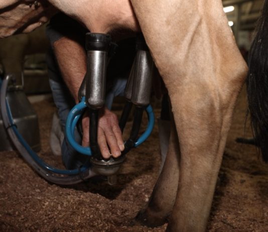 ALESC: GOVERNO DO ESTADO CONCEDE NOVOS BENEFÍCIOS FISCAIS AO SETOR PRODUTIVO CATARINENSE