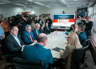 VIOLÊNCIA POLÍTICA DE GÊNERO: RESISTÊNCIA DAS MULHERES NO CENÁRIO POLÍTICO EM SANTA CATARINA