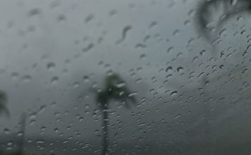 EFEITOS DAS QUEIMADAS: CHUVA PRETA JÁ ATINGE REGIÃO DO OESTE DE SANTA CATARINA