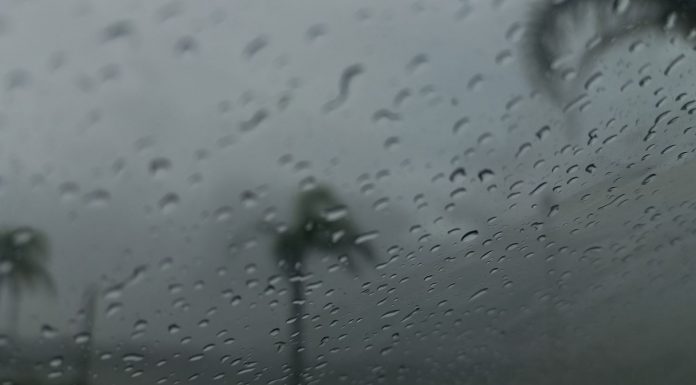 EFEITOS DAS QUEIMADAS: CHUVA PRETA JÁ ATINGE REGIÃO DO OESTE DE SANTA CATARINA