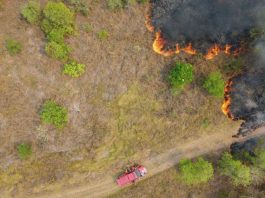 INCÊNDIOS FLORESTAIS: BOMBEIROS MILITARES DE SANTA CATARINA CONTINUAM EM MISSÃO EM MATO GROSSO