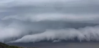 FLORIANÓPOLIS REALIZA SEMINÁRIO SOBRE EMERGÊNCIA CLIMÁTICA