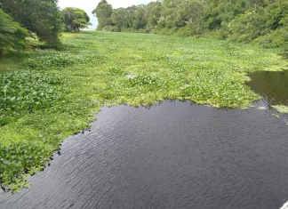 PREFEITURA DE FLORIANÓPOLIS INICIA OBRAS DE DRAGAGEM DO RIO DO BRÁS EM CANASVIEIRAS