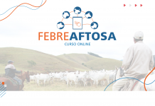 FEBRE AFTOSA: ESTRATÉGIAS E DESAFIOS PARA MANUTENÇÃO DE STATUS SANITÁRIO