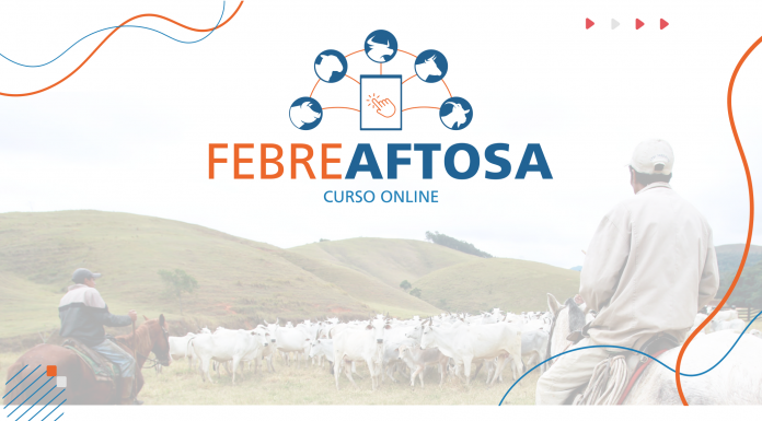 FEBRE AFTOSA: ESTRATÉGIAS E DESAFIOS PARA MANUTENÇÃO DE STATUS SANITÁRIO