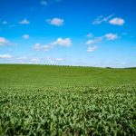 PREVISÃO DO TEMPO: SANTA CATARINA PODE REGISTRAR SISTEMA MODERADO DE “La Niña” NOS PRÓXIMOS TRÊS MESES