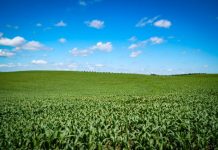 PREVISÃO DO TEMPO: SANTA CATARINA PODE REGISTRAR SISTEMA MODERADO DE “La Niña” NOS PRÓXIMOS TRÊS MESES
