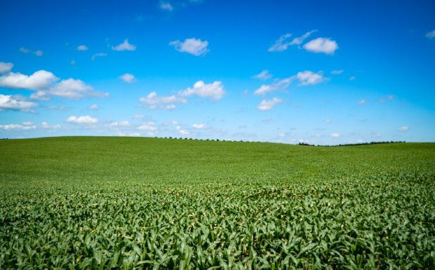 PREVISÃO DO TEMPO: SANTA CATARINA PODE REGISTRAR SISTEMA MODERADO DE “La Niña” NOS PRÓXIMOS TRÊS MESES