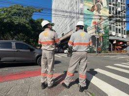 OPERAÇÃO CARNAVAL EM SANTA CATARINA: CELESC REFORÇA EQUIPES DE EMERGÊNCIA