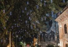 CARNAVAL FLORIPA 2025: ALTERAÇÕES NO SISTEMA DE TRÂNSITO