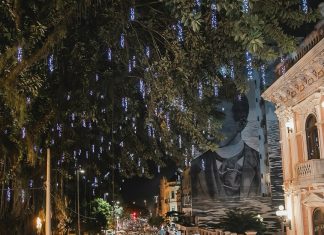 CARNAVAL FLORIPA 2025: ALTERAÇÕES NO SISTEMA DE TRÂNSITO