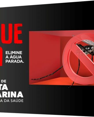 DENGUE: REGISTRADAS DUAS MORTES EM SANTA CATARINA NO MÊS DE FEVEREIRO