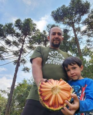 ABERTA OFICIALMENTE HOJE A SAFRA 2025 DO PINHÃO EM SANTA CATARINA