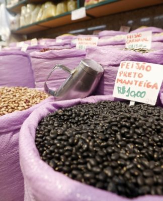 ASSEMBLEIA LEGISLATIVA DE SC COMEÇA A ANALISAR PROJETOS DO GOVERNO SOBRE FUNCIONALISMO, CESTA BÁSICA, INCENTIVOS FISCAIS E MEDIDAS SOCIAIS