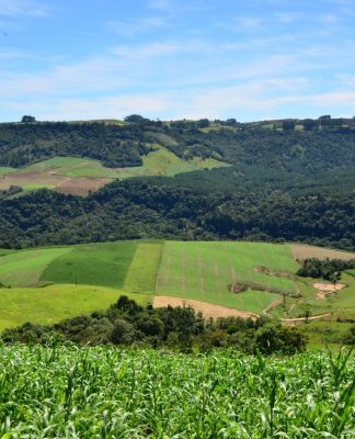 PROJETO SC RURAL 2 GARANTE US$ 150 MILHÕES PARA INOVAÇÃO, RESILIÊNCIA AMBIENTAL E INCLUSÃO SOCIAL NO CAMPO