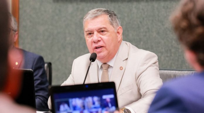 ALESC: PROJETO DE LEI MIRA CPF DE BRIGÕES E PROTEGE CLUBES EM SANTA CATARINA