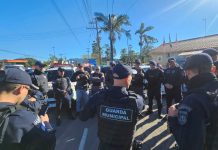 PREFEITURA DE FLORIANÓPOLIS DEFLAGRA OPERAÇÃO SOLO LEGAL E DERRUBA 32 CONSTRUÇÕES IRREGULARES NO RIBEIRÃO DA ILHA