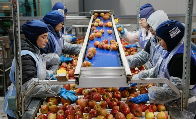 ALESC: FRENTE PARLAMENTAR FORTALECE APOIO À FRUTICULTURA CATARINENSE E AMPLIA COMBATE AOS EFEITOS DO GRANIZO