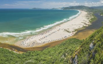 PALHOÇA SE PREPARA PARA RECEBER A TAÇA BRASIL 2025 DE SURF